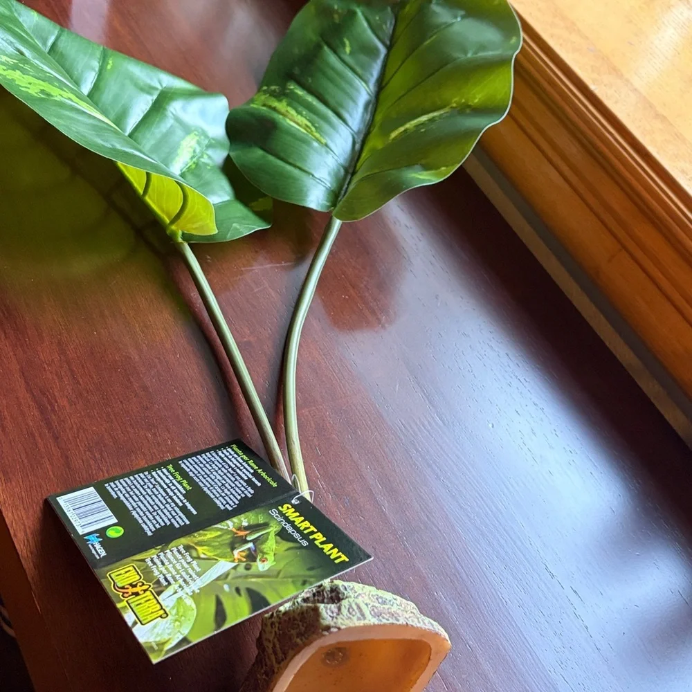 New Exo-Terra Smart Plant Scindapsus Ideal for Terrariums